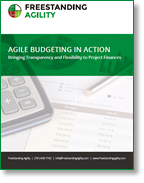 Download: Agile Budgeting in Action